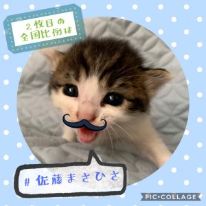 投稿:ばーばらさん 応援イラスト