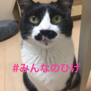 投稿:mee さん 投稿:meeさん