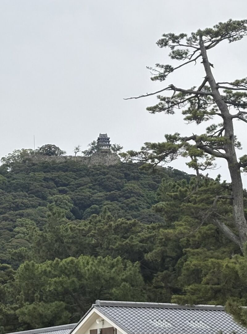 Image for the Tweet beginning: 岡山市での講演を終えて、淡路島の洲本市へ。
これから自民党支部での講演です。久本の洲本市です 